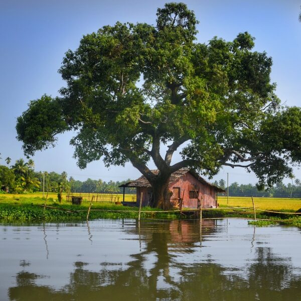 Kerala Tour Package Gods own Country