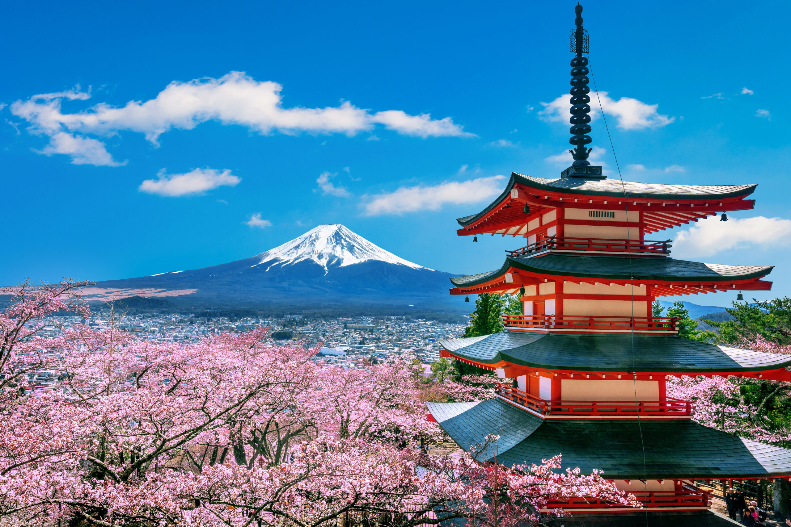 cherry blossoms spring chureito pagoda fuji mountain japan scaled